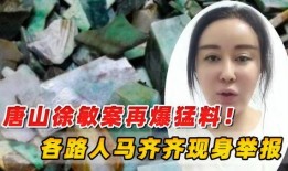 唐山市路人爆料案件最新,惊曝重大案件细节，真相即将揭晓！